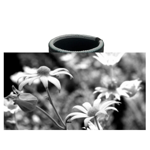 Flannel Flowers | Stubby Holder Thumbnail